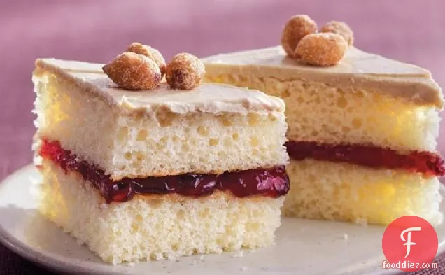 Peanut Butter and Jelly Cake Bites