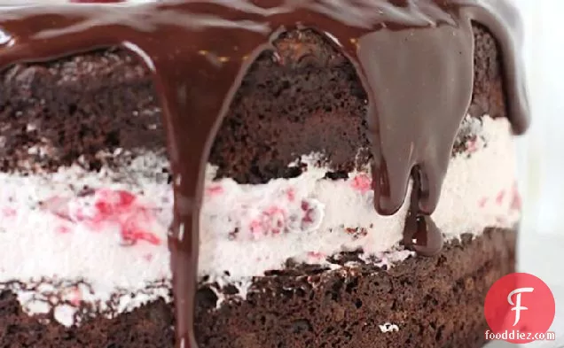 Chocolate-Raspberry Cream Cake