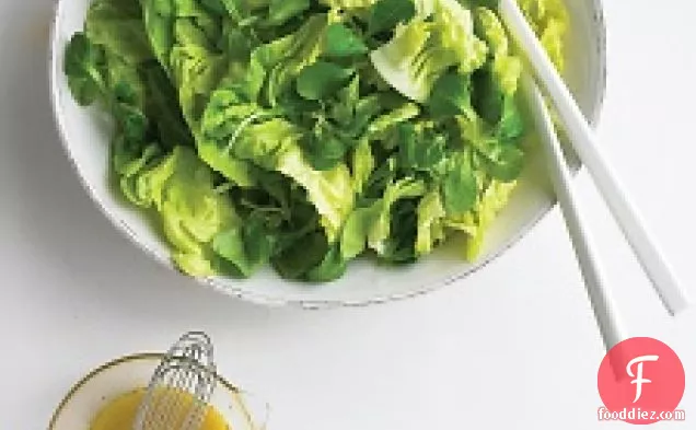 Tender Lettuce Salad