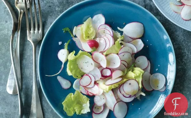 Boston Lettuce and Radish Salad