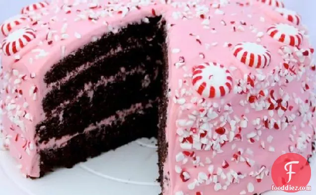 गुलाबी पेपरमिंट क्रीम चीज़ फ्रॉस्टिंग के साथ चॉकलेट फज केक