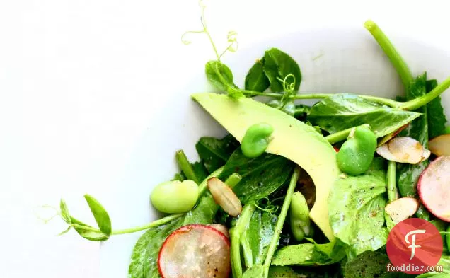 Pea Shoot Salad With Fava Beans