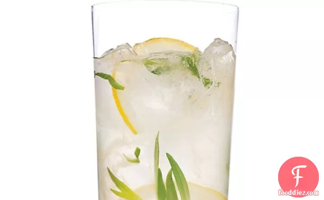 Sparkling Tarragon-Gin Lemonade