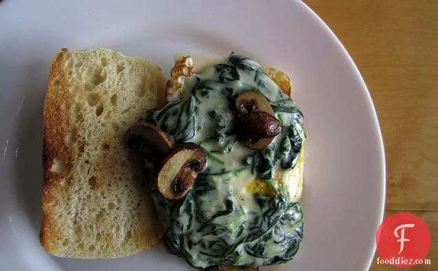 Lightly-creamed Baby Spinach