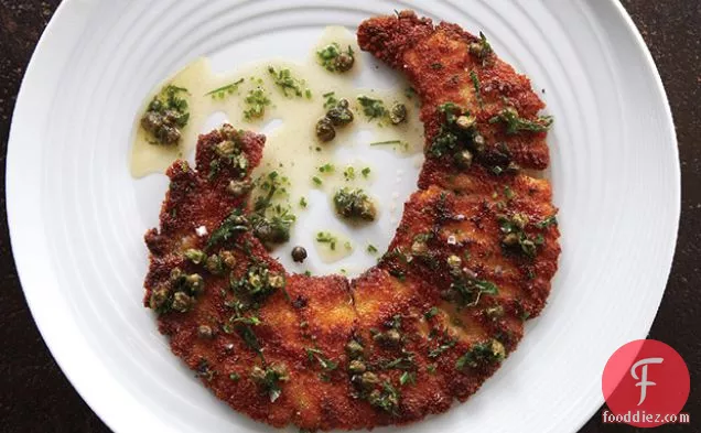 स्केट विंग श्नाइटल