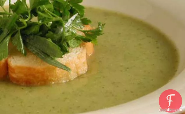 Creamy Zucchini Soup with Mixed Herbs