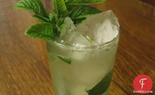 Time for a Drink: the Gin-Gin Mule