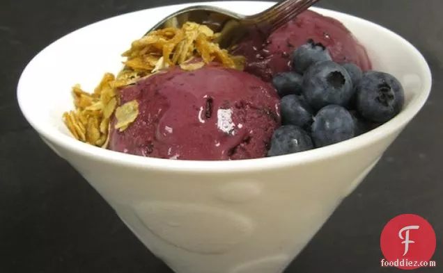 Blueberry Vanilla Bean Frozen Yogurt