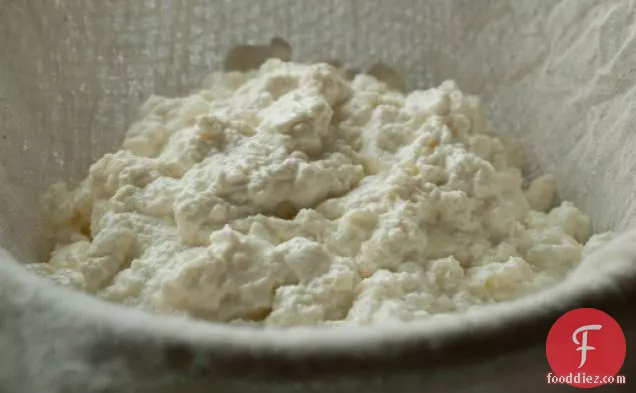 The Homemade Pantry's Ricotta Cheese