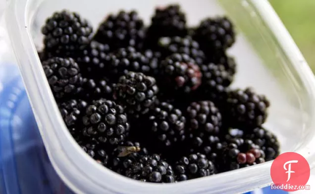 Blueberry-Blackberry Pie with Pretzel Crust