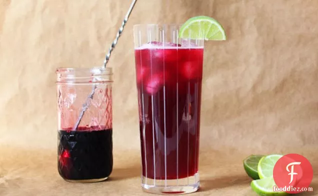 Blueberry Lime Rickey