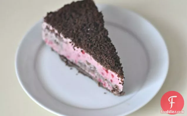 Homemade Raspberry Ice Cream Cake With Chocolate Crumb Crust