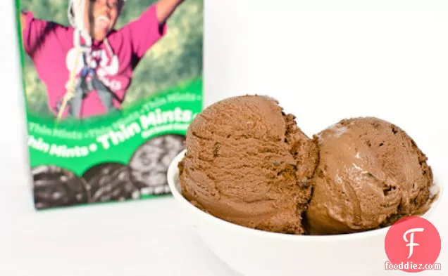 Chocolate Thin Mint Ice Cream
