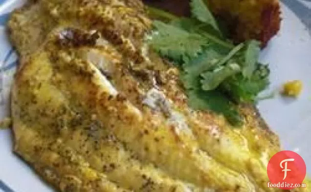 Big Ray's Greek Grilled Catfish