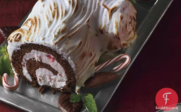 Frozen Chocolate-Peppermint Bùche de Noël