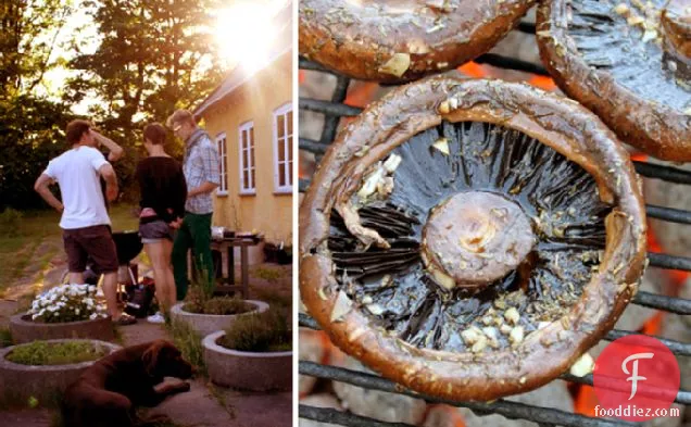 Grilled Portobello Magic Mushrooms
