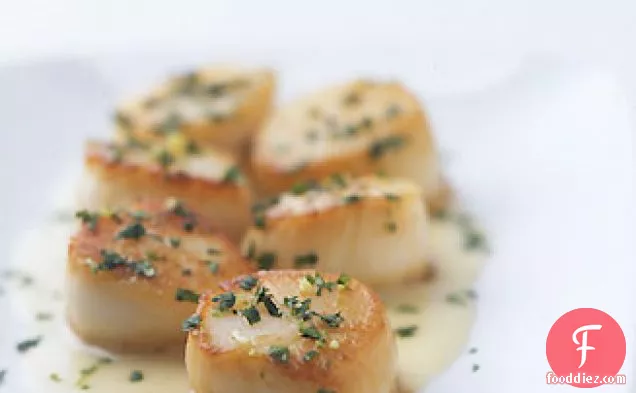 सीलेंट्रो ग्रेमोलटा और जिंजर लाइम बेउरे ब्लैंक के साथ सी स्कैलप्स