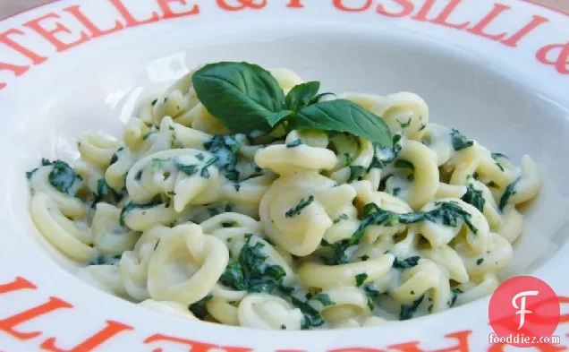 Messicani with Spinach & Cheese Sauce
