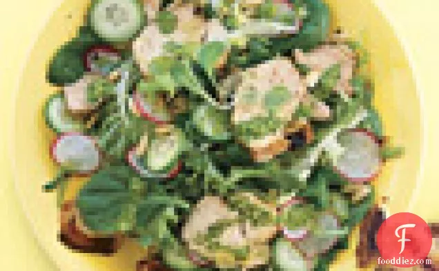 Grilled Chicken Salad with Radishes, Cucumbers, and Tarragon Pesto