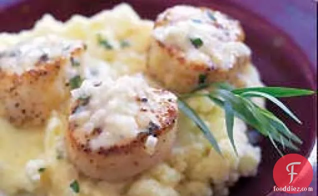 Scallops with Mashed Potatoes with Tarragon Sauce