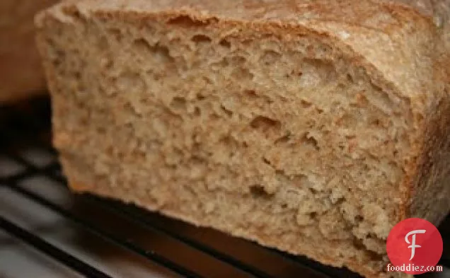 Basic Whole Wheat Bread