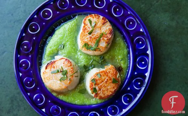 Seared Scallops with Asparagus Sauce