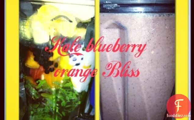 Kale Blueberry Orange Bliss Smoothie
