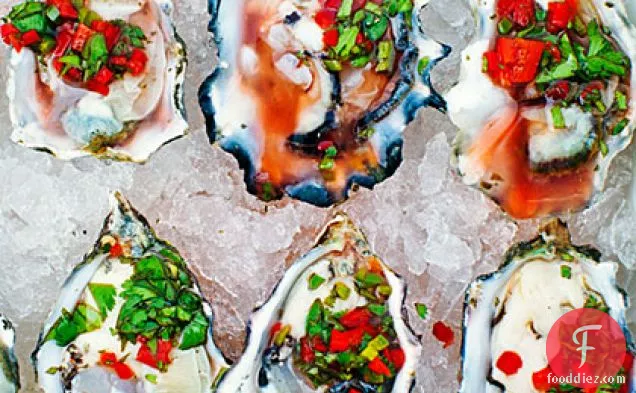 Oysters on the Half Shell with Chile, Cilantro, and Meyer Lemon Salsa