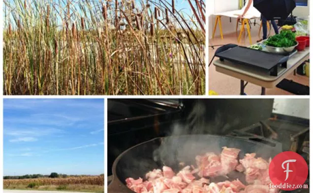 किमची ग्रिल्ड चीज़ + ग्रेट मिडवेस्ट ग्रिल्ड चीज़ प्रतियोगिता को देखते हुए