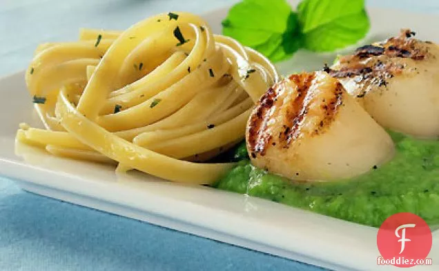 Grilled Scallops and Fettuccine with English Pea Butter Sauce