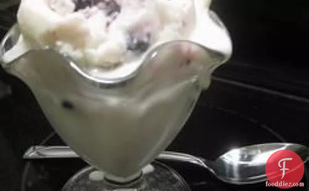 Creamy Vanilla Frozen Yogurt