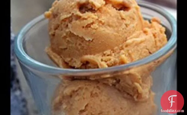 Vegan Pumpkin Ice Cream
