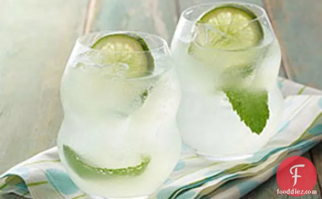 Mojito Lemon-Lime Cocktail