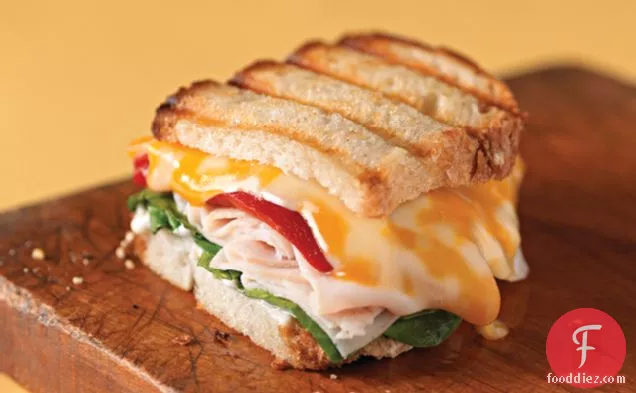 Panini with Turkey and Cheese