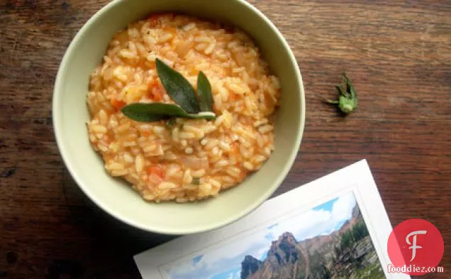 Tomato Sage Risotto