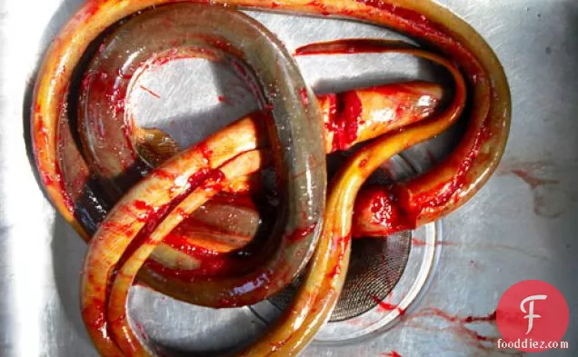 The Nasty Bits: Dashi-simmered Eel