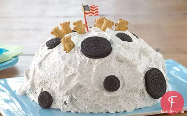 Lunar Landing Cake