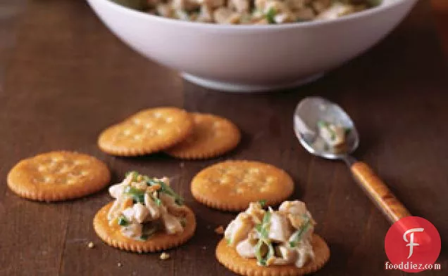 Easy Asian-Style Chicken Appetizers