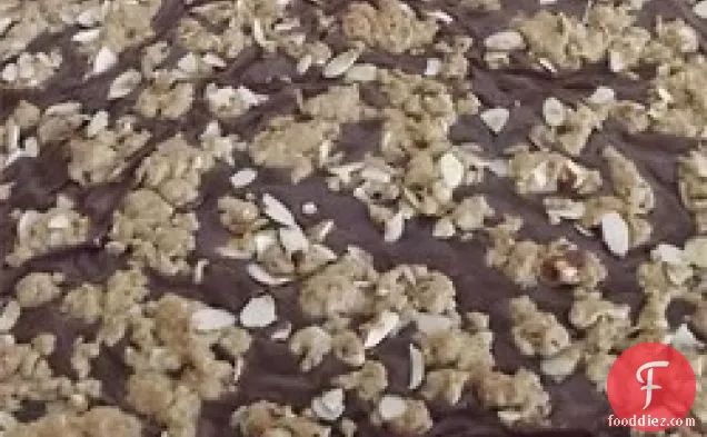 Fudge Nut Oatmeal Bars