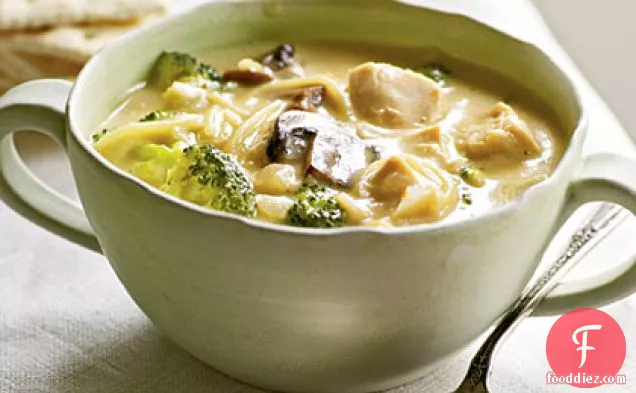 Broccoli and Chicken Noodle Soup