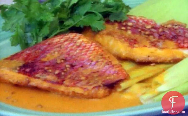 Pan-fried Red Snapper Fillet with Corn Cream Creole Sauce