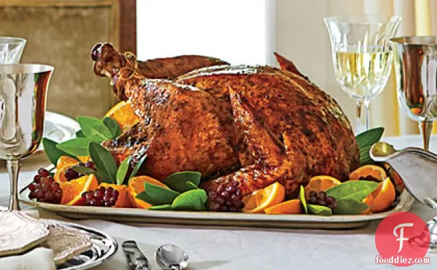 Citrus-Roasted Turkey with Lemon Aïoli