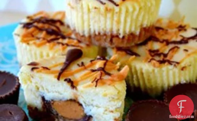 Reese’s Peanut Butter Cup Mini Cheesecakes