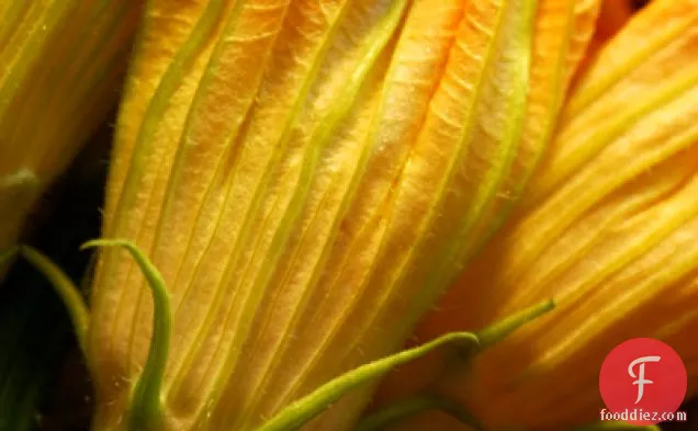 Zucchini Flower Frittata