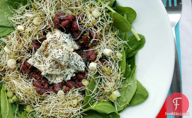 एडज़ुकी बीन्स, गोर्गोन्जोला चीज़ और अल्फाल्फा स्प्राउट्स