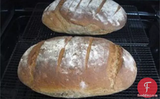 प्रामाणिक जर्मन रोटी (Bauernbrot)