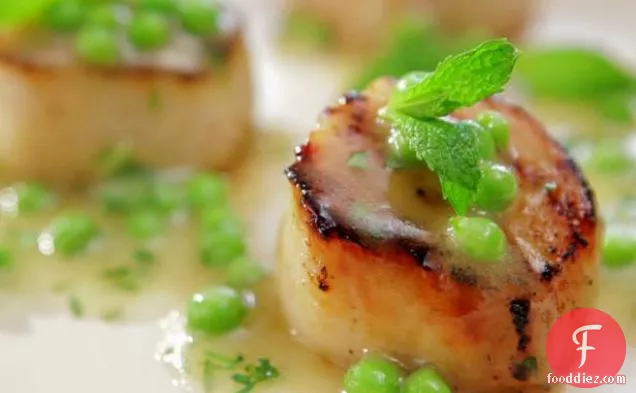 Caramelized Scallops with Fresh Green Pea Vinaigrette