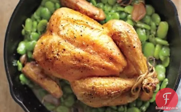 Roast Chicken With Fava Beans