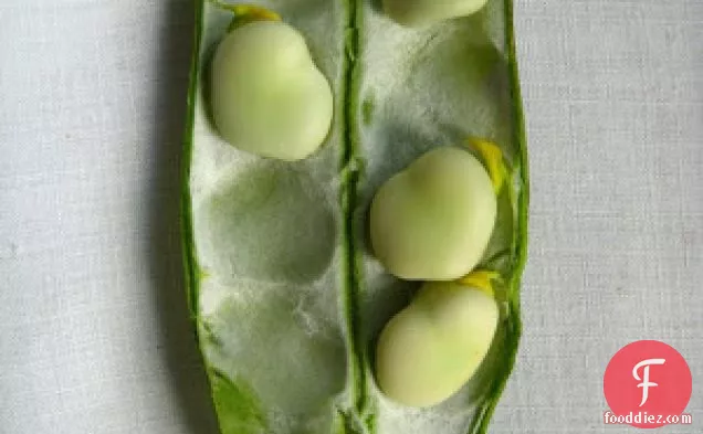 Simple Fava Bean Salad