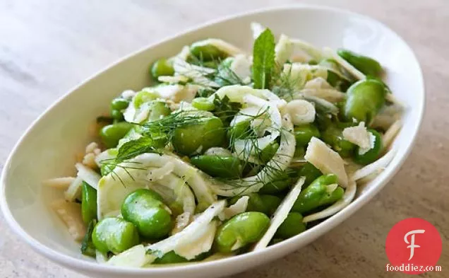 Spring Fava Bean Fennel Salad
